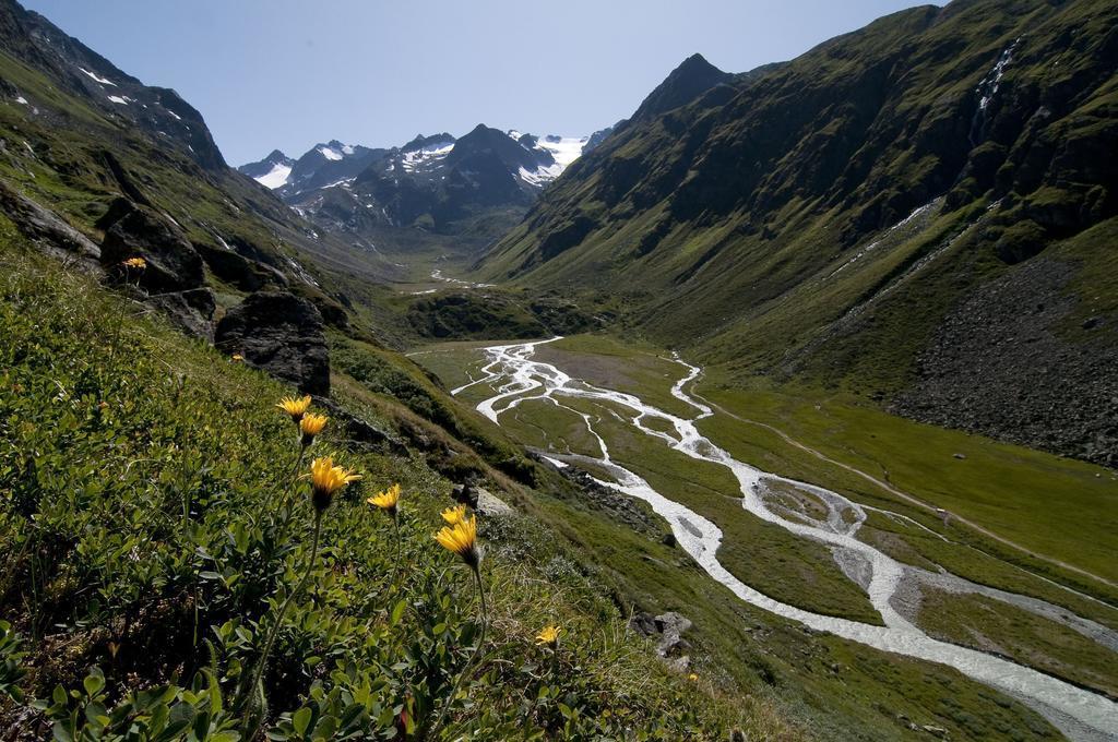 Gaestehaus Danler Neustift im Stubaital Ngoại thất bức ảnh